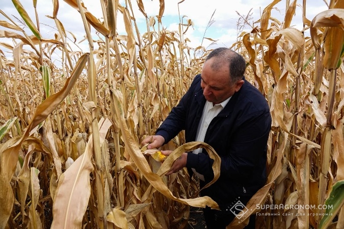 Микола Бантов демонструє кукурудзу